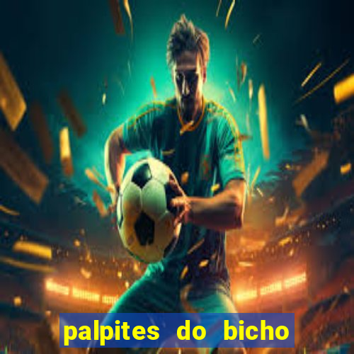 palpites do bicho no celular